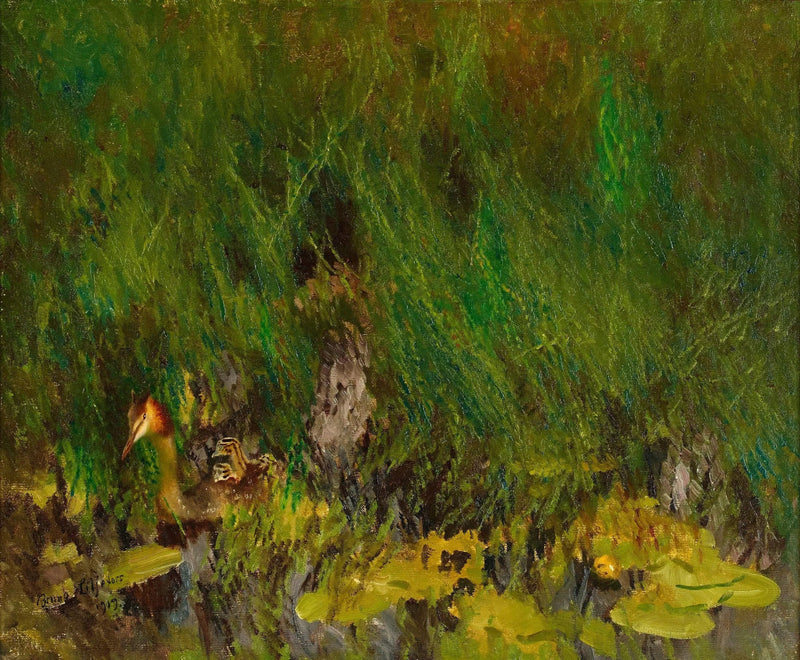 Harikurkku - Bruno Liljefors