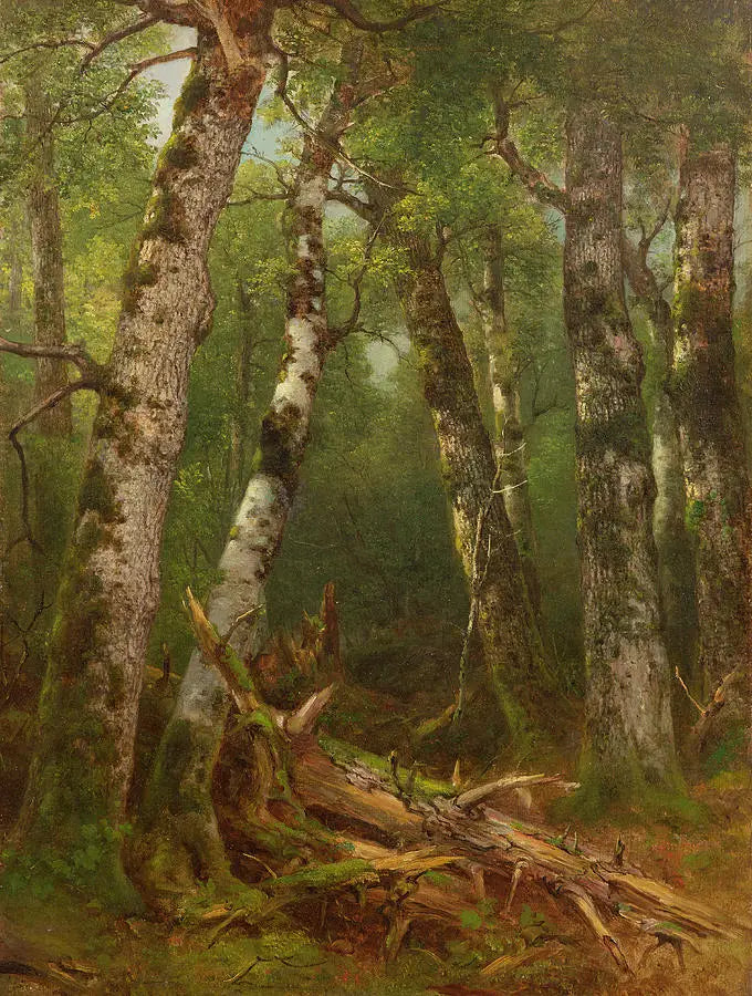 Puuryhmä - Asher Brown Durand