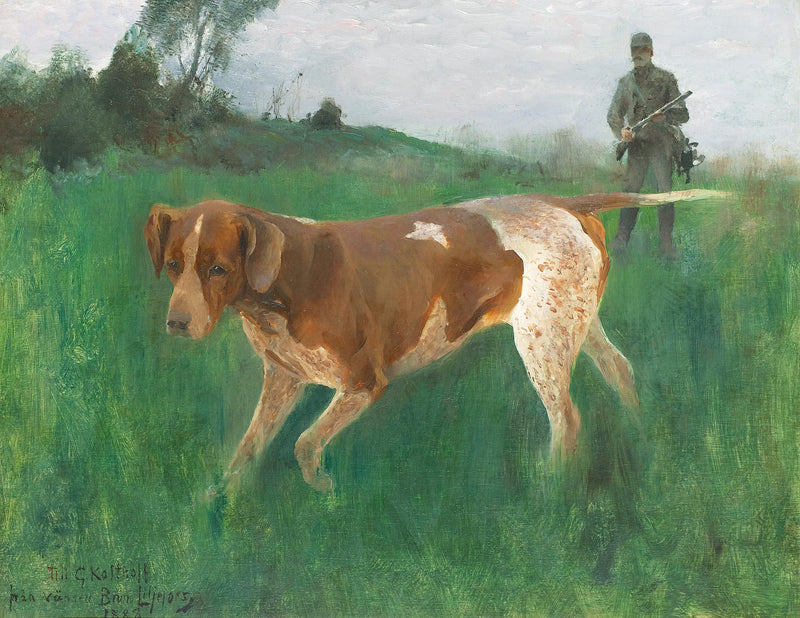 Gustaf Kolthoff metsästää - Bruno Liljefors