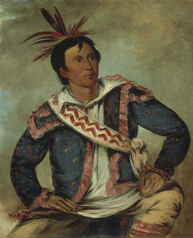 Há-tchoo-túc-knee, käärmekilpikonna, sekakulttuurinen - George Catlin