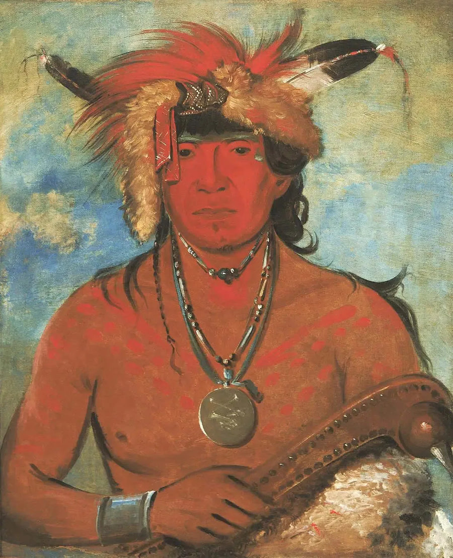 Háh-je-day-ah'-shee, Tapaaminen lintujen kanssa, rohkea - George Catlin