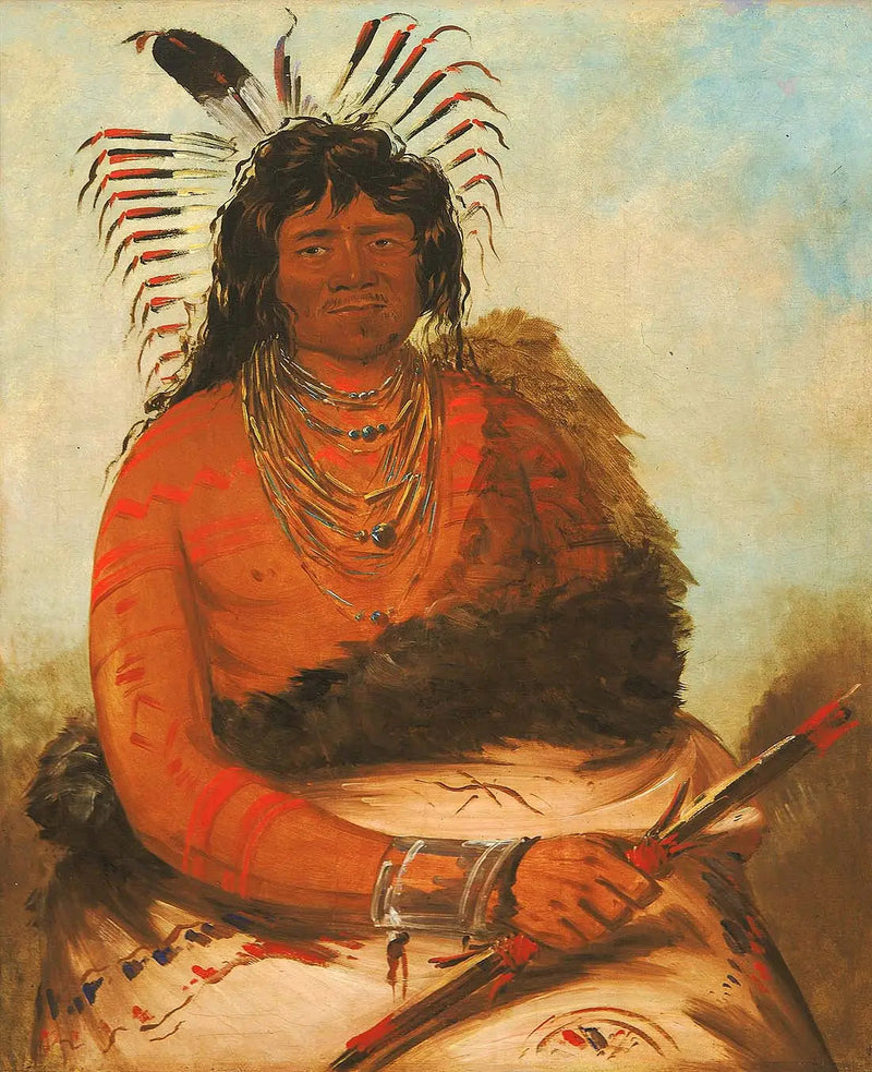 Háh-nee, pesukarhu, soturi - George Catlin