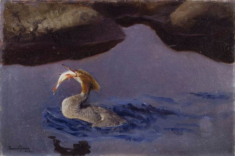 Naaras Merganser - Bruno Liljefors