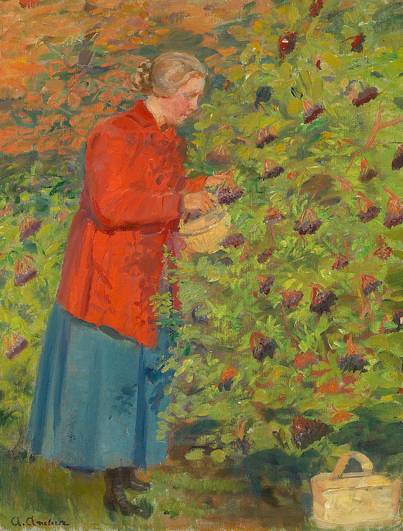Helga Ancher poimimassa seljanmarjoja. - Anna Ancher
