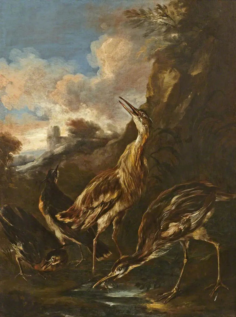 Haikarat ja hanhet - Melchior de Hondecoeter