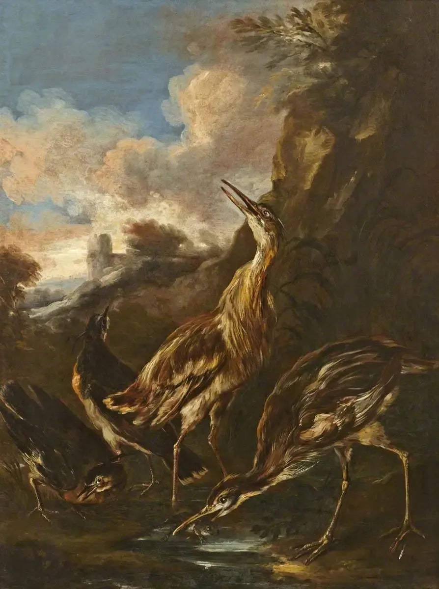 Haikarat ja hanhet - Melchior de Hondecoeter