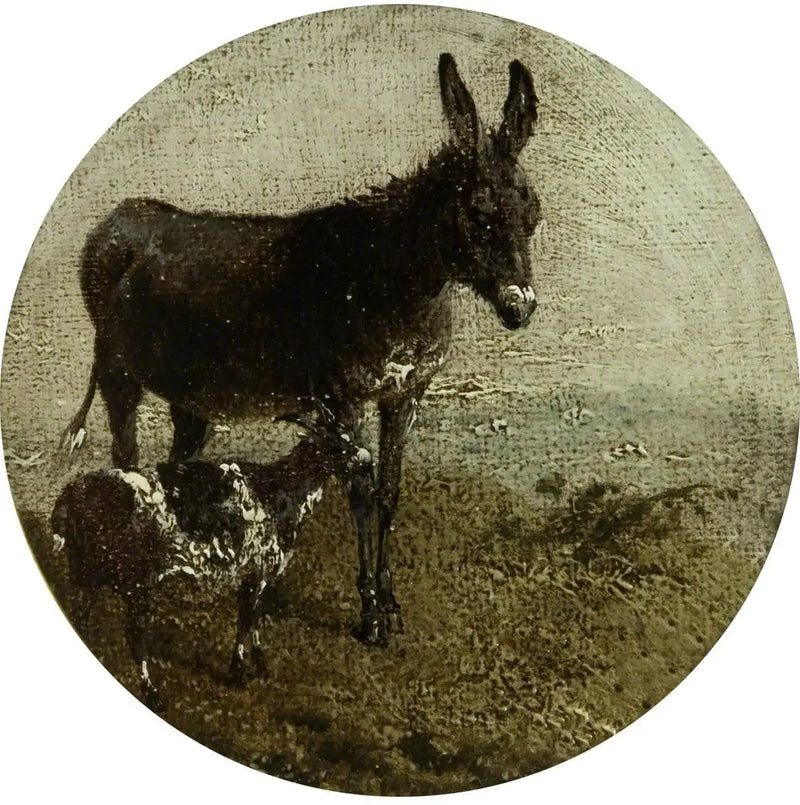 Kahdeksan pyöreää maatilannäkymää: aasi ja vuohi - John Frederick Herring, Sr.