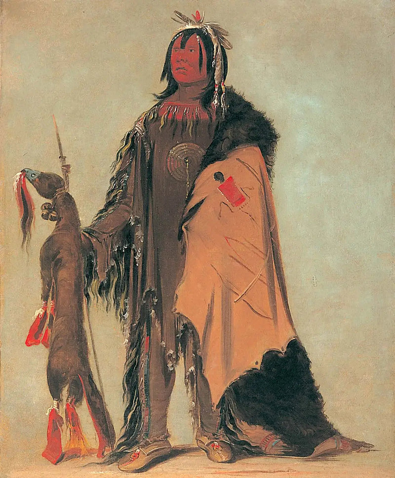 In-ne-ó-cose, Buffalo-lapsi, soturi - George Catlin