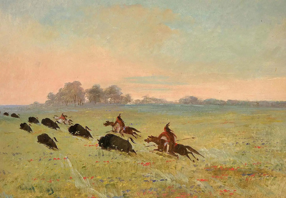 Indiens Comanches chassant le bison - George Catlin - Alpha Reproduction