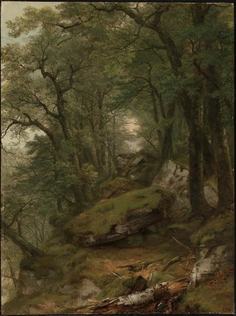 Sisätilat puumainen - Asher Brown Durand