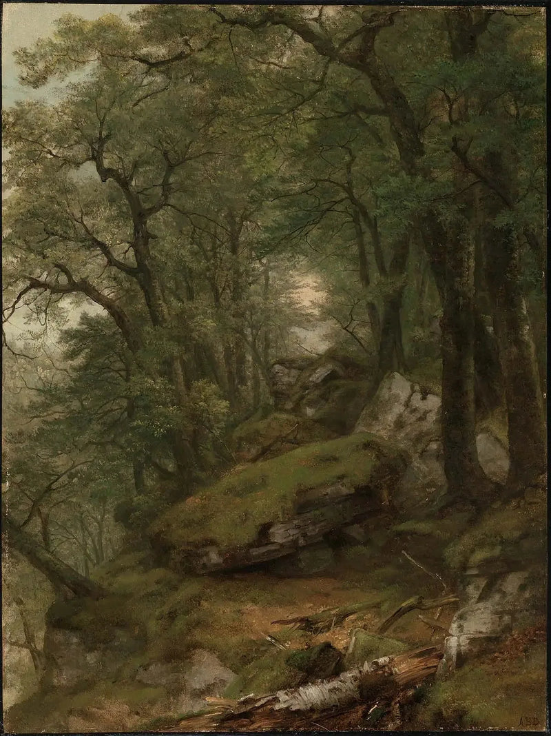 Sisätilat puumainen - Asher Brown Durand