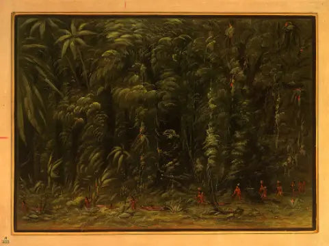 Amazonin sademetsän sisäosat - Zurumati - George Catlin