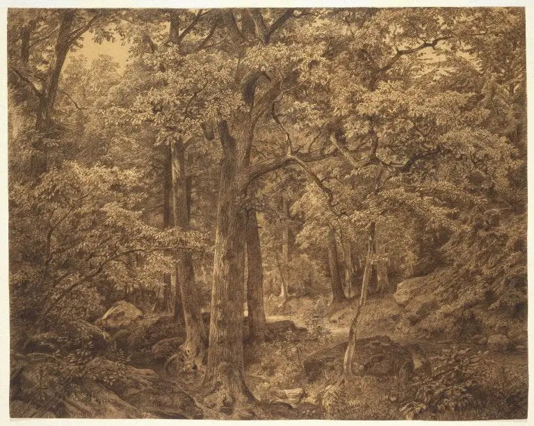 Metsän sisäpuoli - William Trost Richards