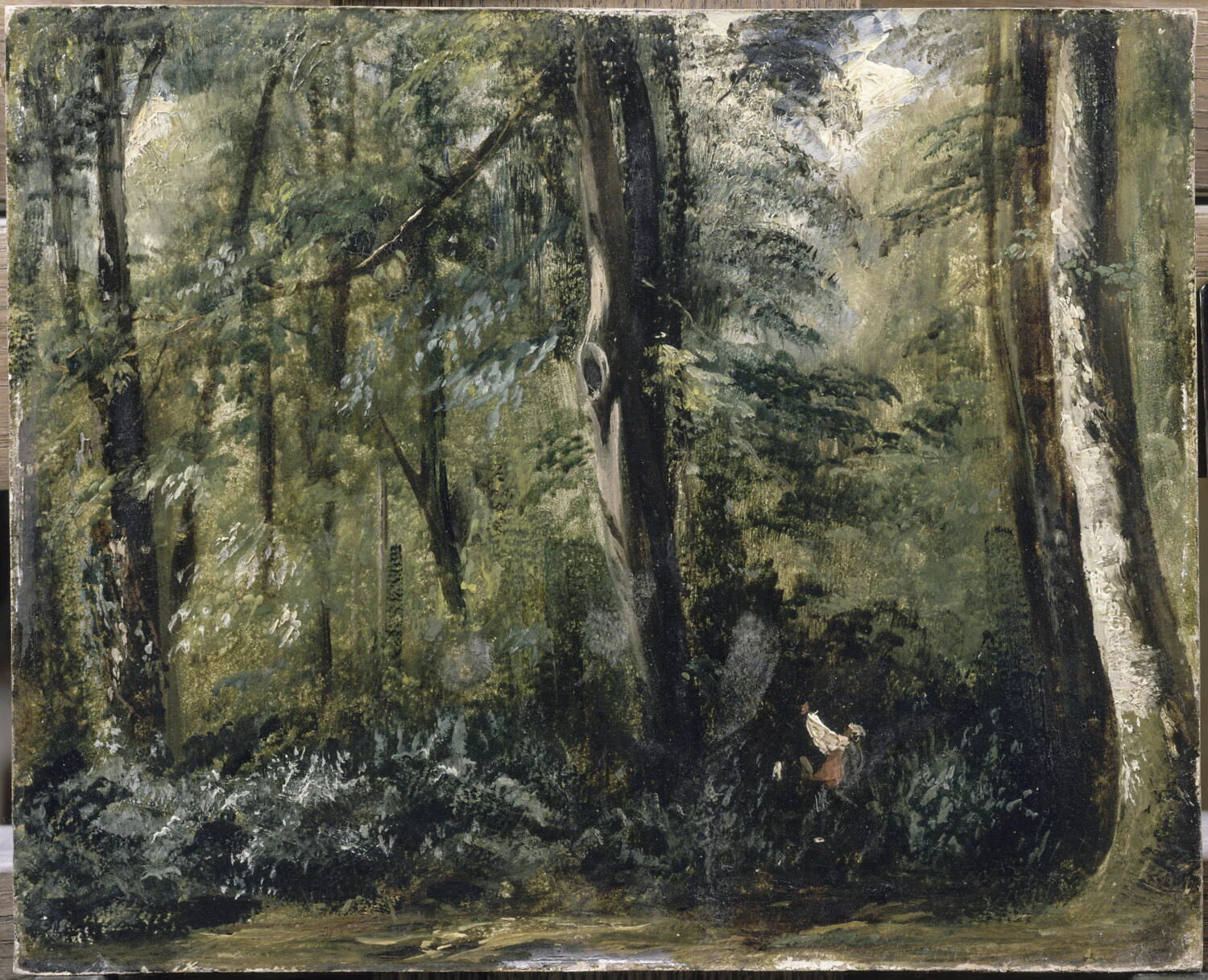 Intérieur de forêt (Compiègne), Étude - Paul Huet