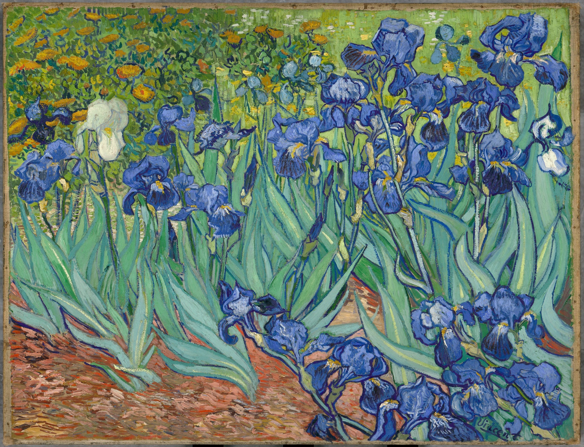 Iris F608 de Vincent van Gogh, J. Paul Getty Museum