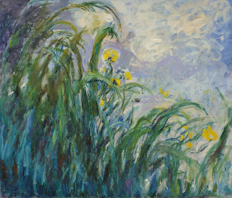 Keltaiset iirikset - Claude Monet