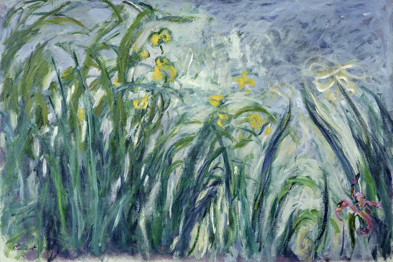 Keltaiset ja violetit iirikset - Claude Monet