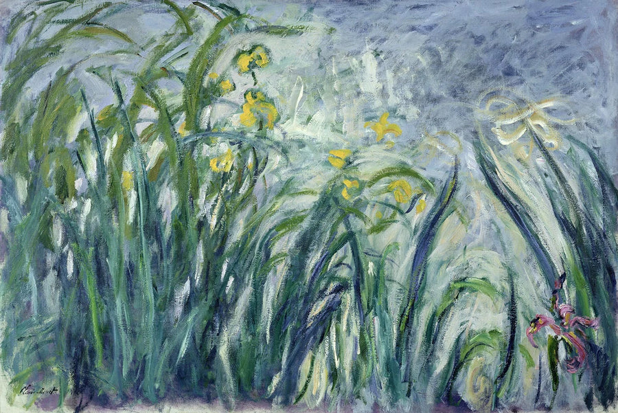 Keltaiset ja violetit iirikset - Claude Monet