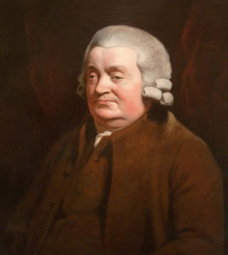 James Johnston (1721–1797), kirurgi, Dundee'n pormestari (1790–1791) - Henry Raeburn
