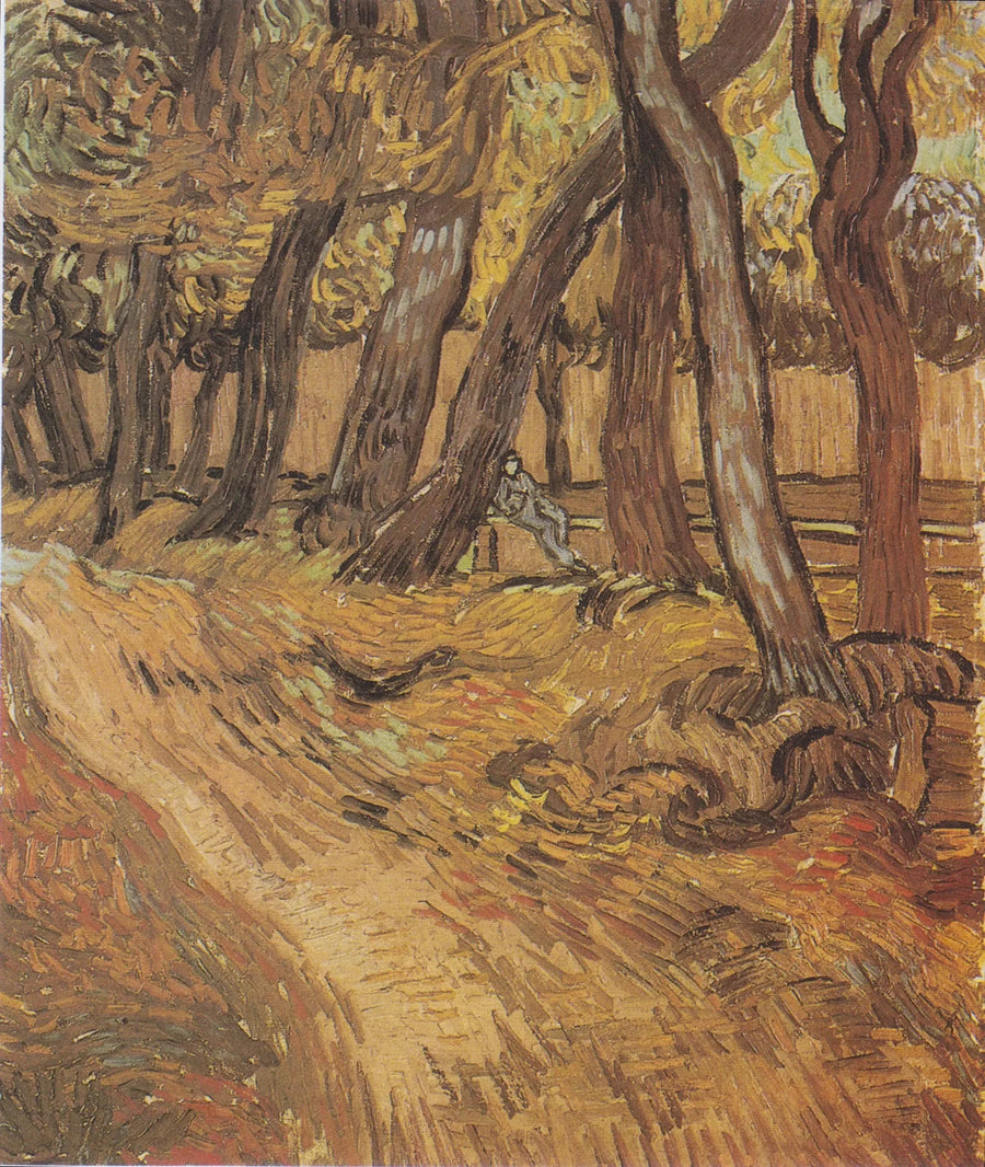 Pyhän Paavalin sairaalan puutarha hahmolla, Le - Vincent van Gogh