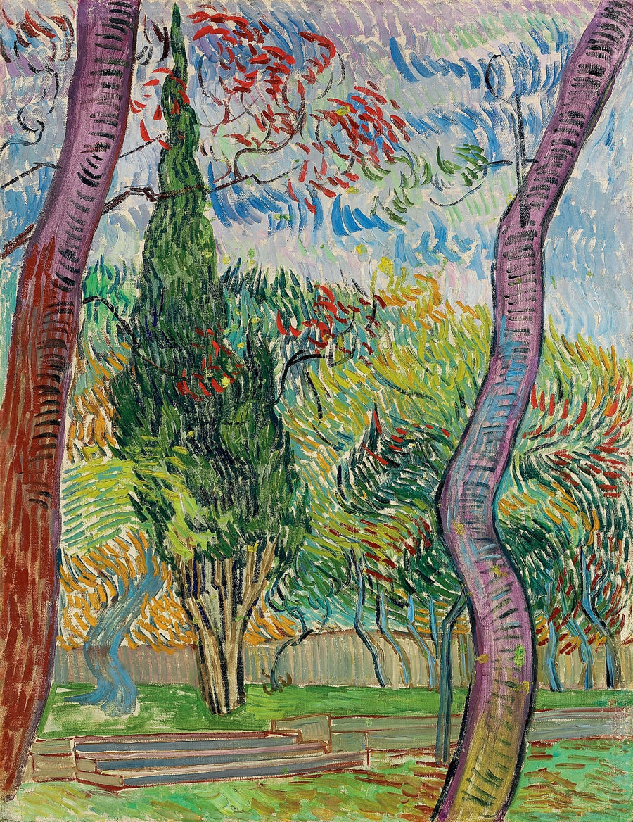 Saint-Paulin sairaalan puisto - Vincent van Gogh