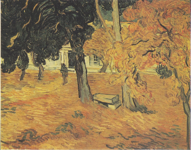 Pyhän Paulin sairaalan puutarha, Le - Vincent van Gogh