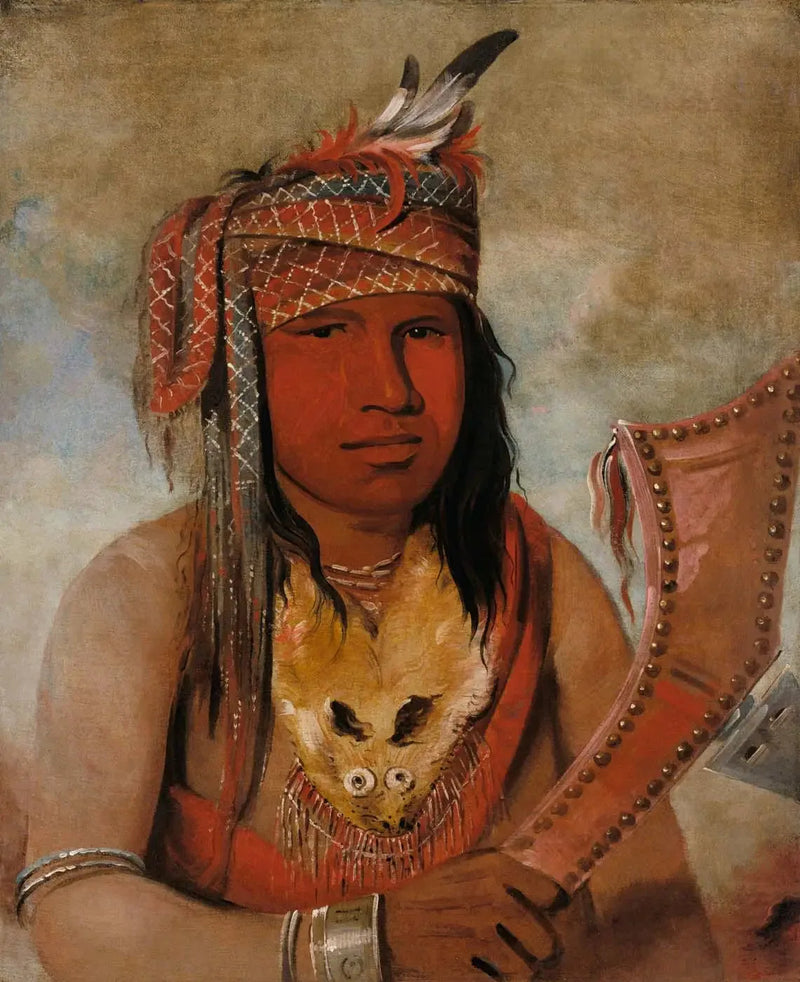 Je-suis-quelque-chose-dick, Caribou uros, reilu - George Catlin