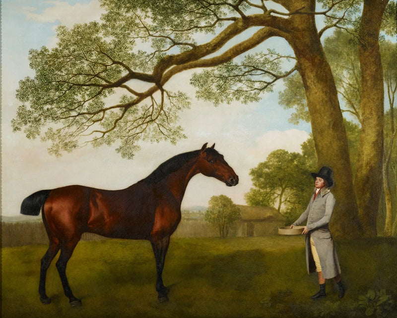 John Gascoigne hevosen kanssa rautias - George Stubbs