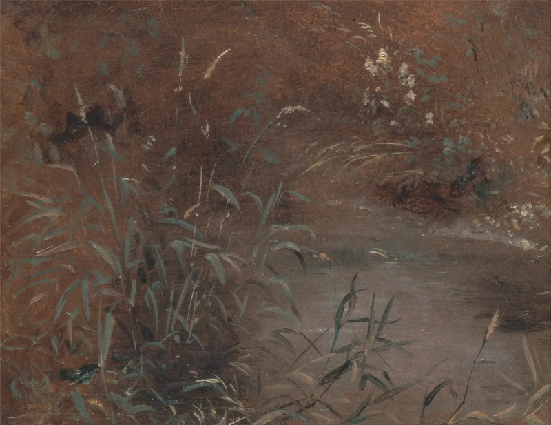 Joncs au bord d'une piscine - John Constable