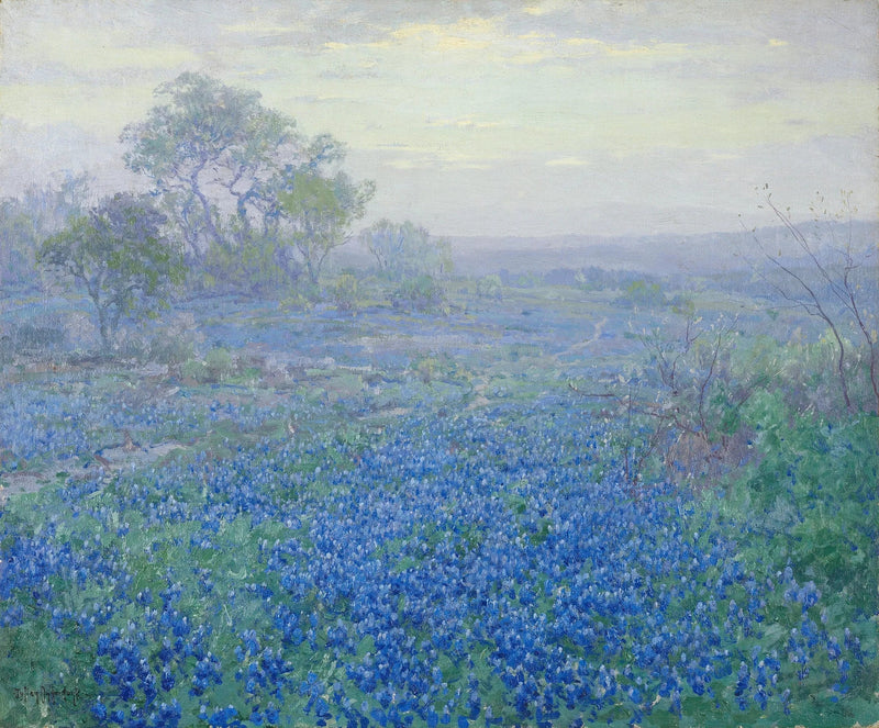 Pilvinen päivä, sinisiä lupiineja lähellä San Antoniota, Texasissa - Julian Onderdonk
