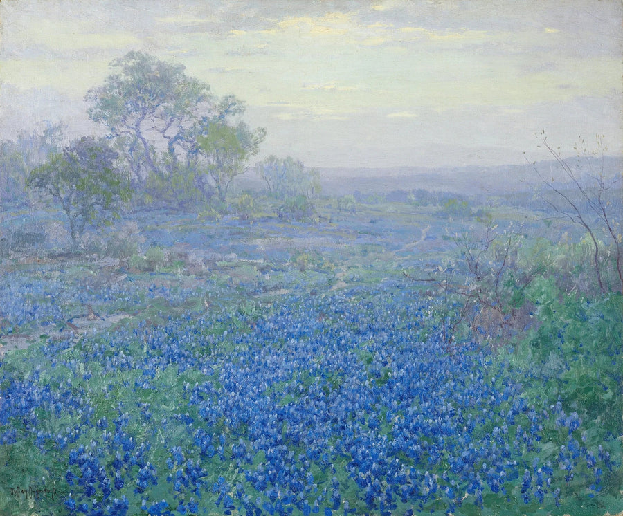 Pilvinen päivä, sinisiä lupiineja lähellä San Antoniota, Texasissa - Julian Onderdonk