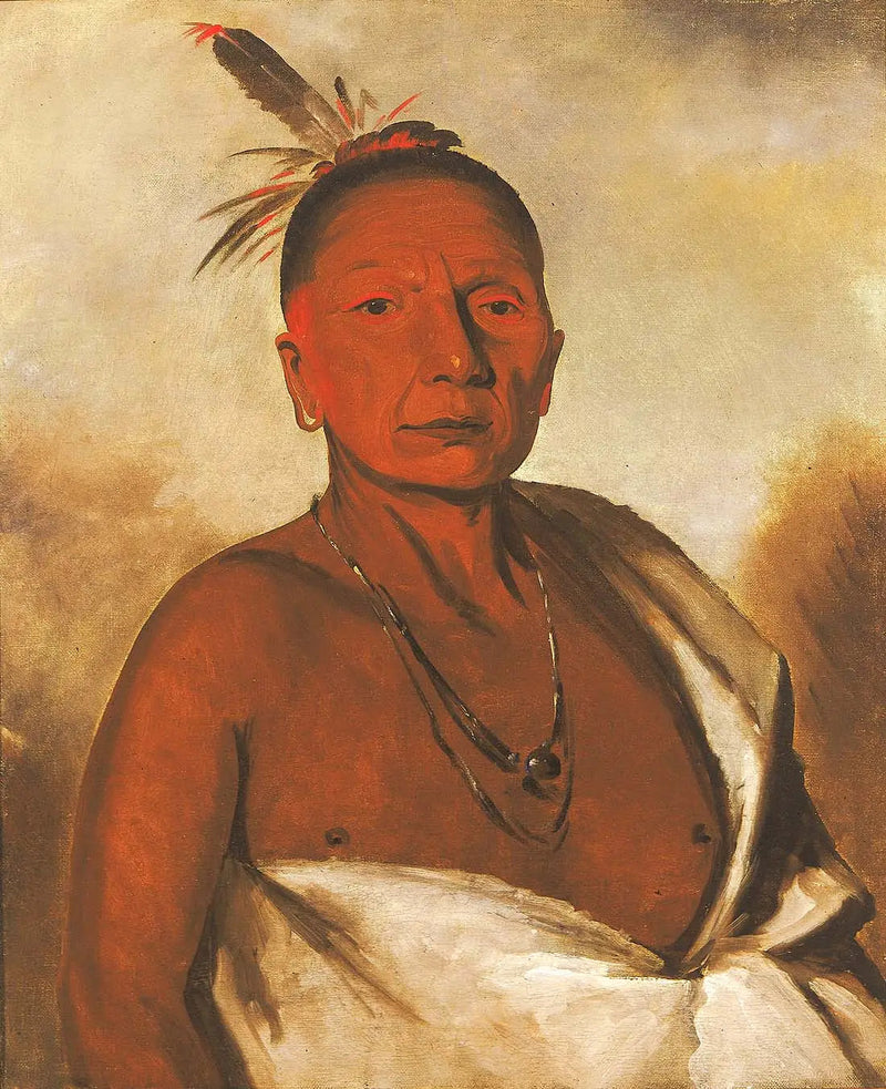 Kid-à-day, kunniakas arvostettu - George Catlin