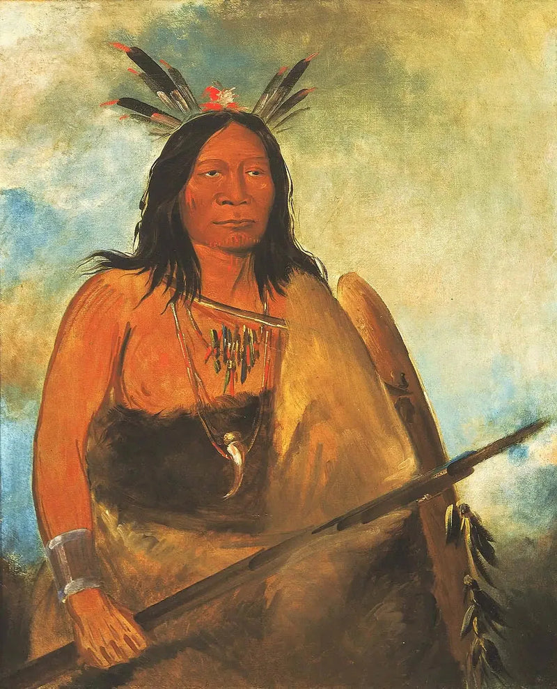 Kots-o-kó-ro-kó, Härän kaulan höyhen, johtaja - George Catlin