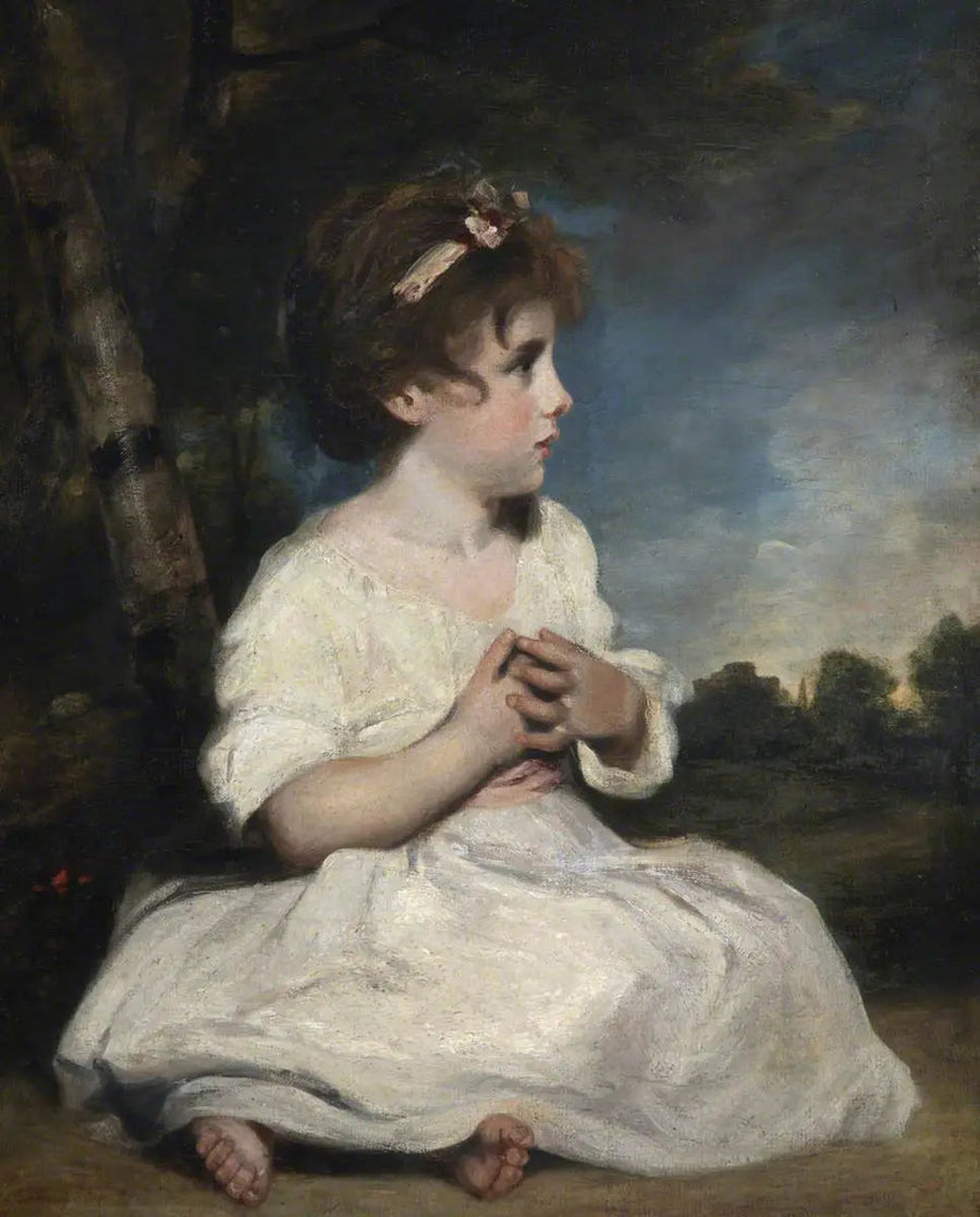 Viattomuuden aika - Joshua Reynolds