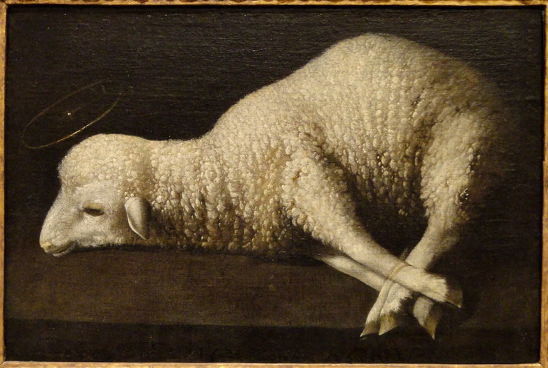 Jumalan Karitsa - Francisco de Zurbarán