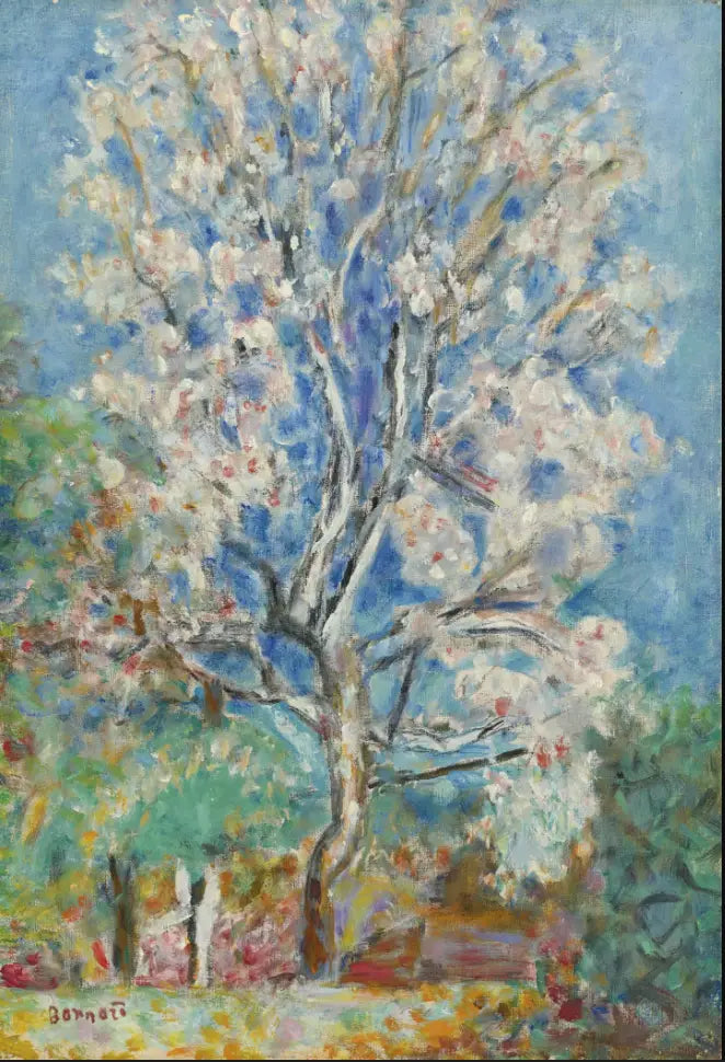 Manteli kukassa - Pierre Bonnard