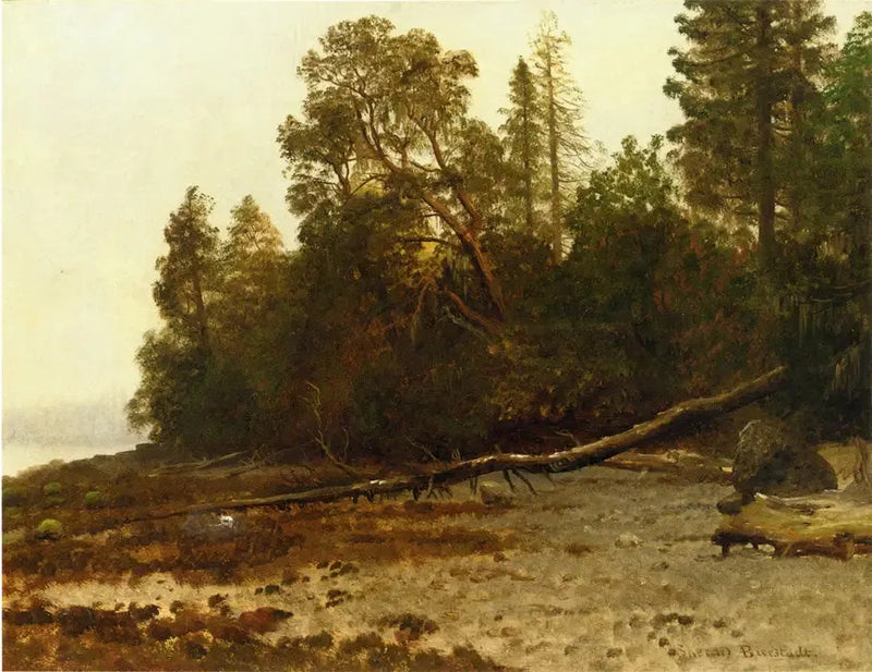 Kaadunut puu - Albert Bierstadt