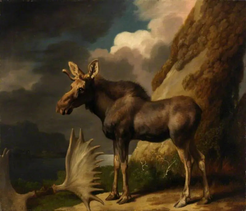 Elämäntapa - George Stubbs
