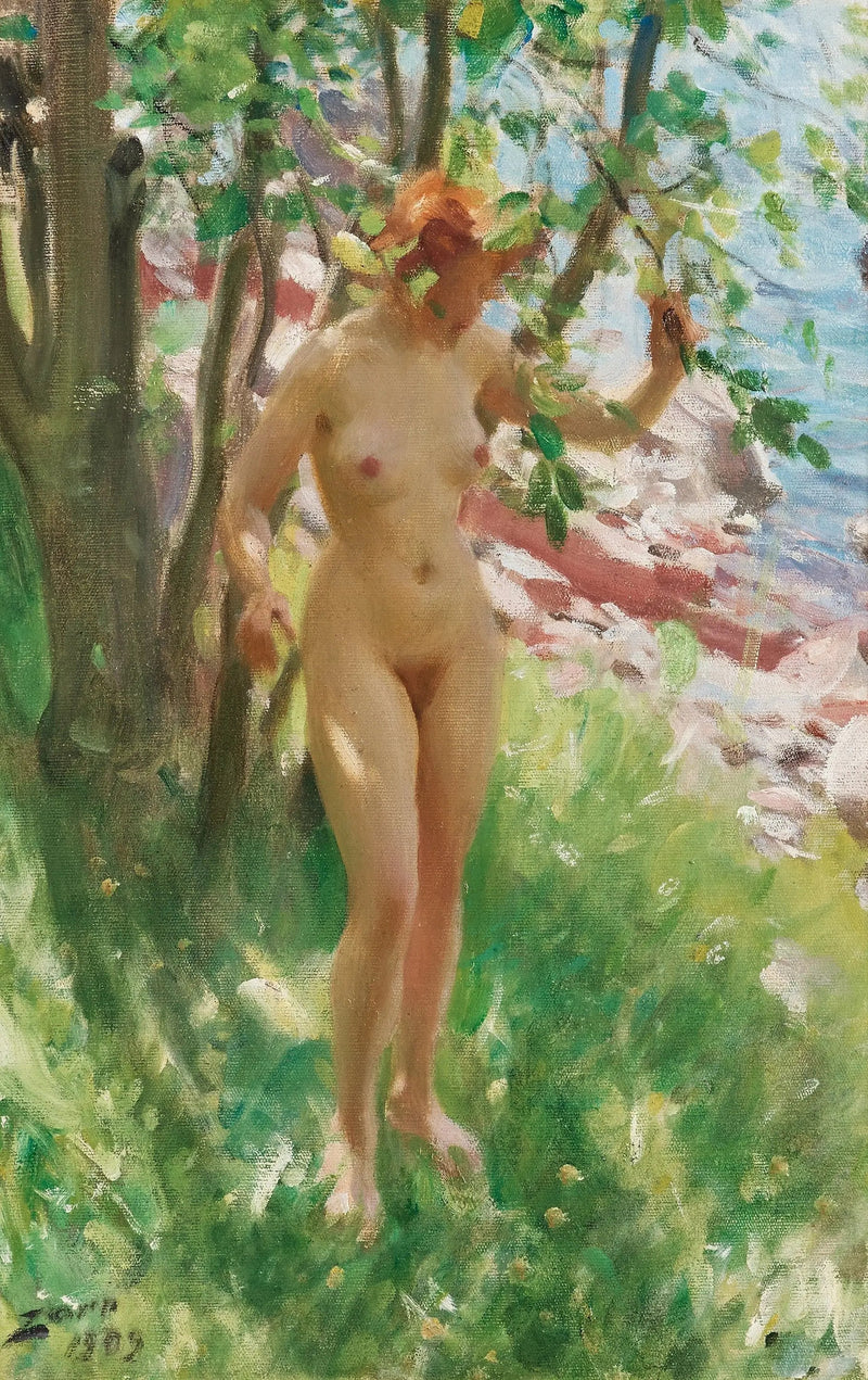 Varjo - Anders Zorn