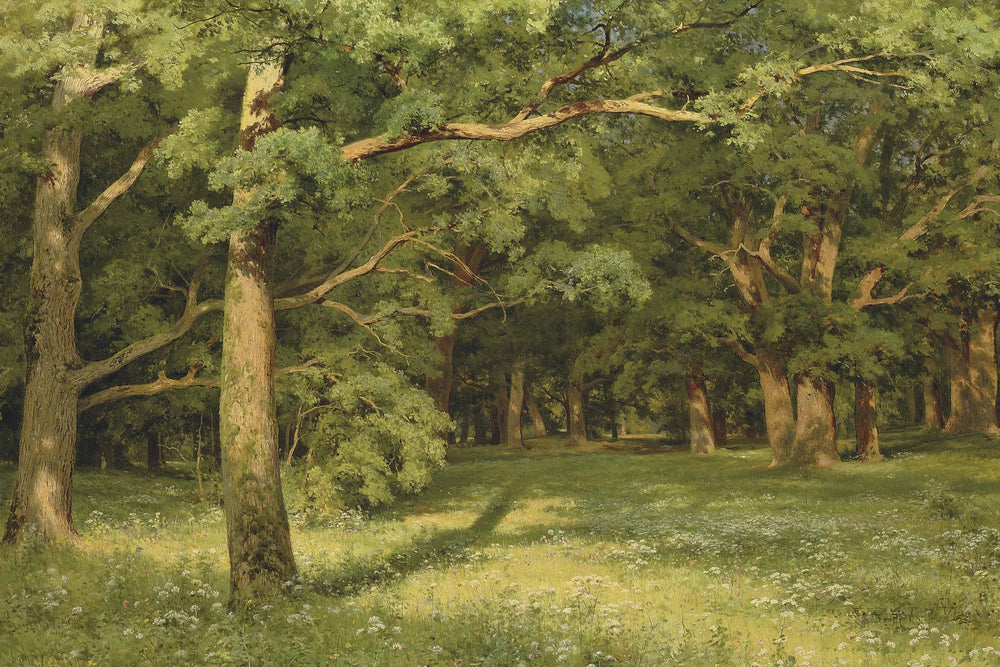 La clairière de la forêt - Ivan Chichkine - Alpha Reproduction