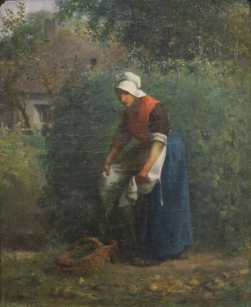 Pavut kerääminen - Jean-François Millet