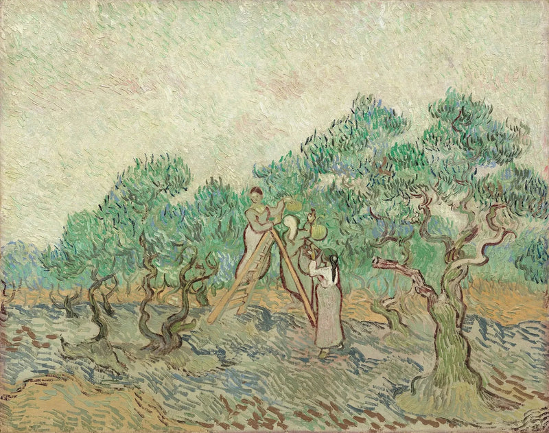 Oliivien keruu - Vincent van Gogh