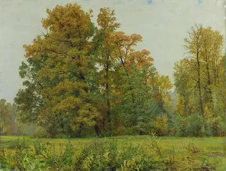 Metsän reunus - Ivan Chichkine
