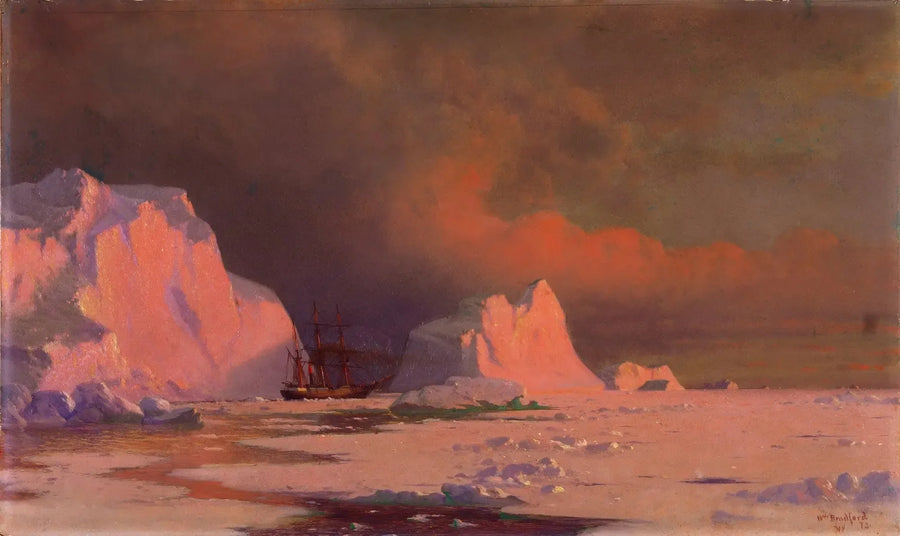 "Panthera" Melville lahdella - William Bradford