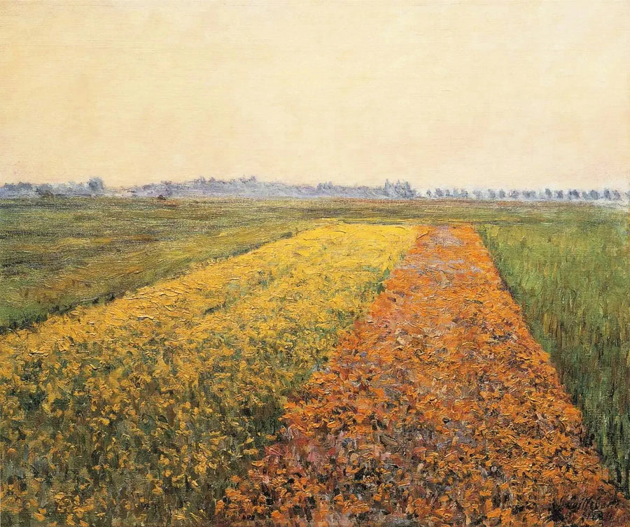 Gennevilliersin tasanko, Keltainen pelto - Gustave Caillebotte