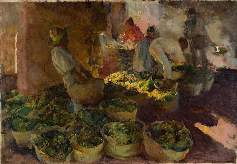 Rusinojen kuivaaminen - Joaquín Sorolla
