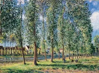 Moretin poppelirivi - Alfred Sisley