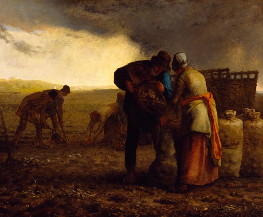 Perunannosto - Jean-François Millet
