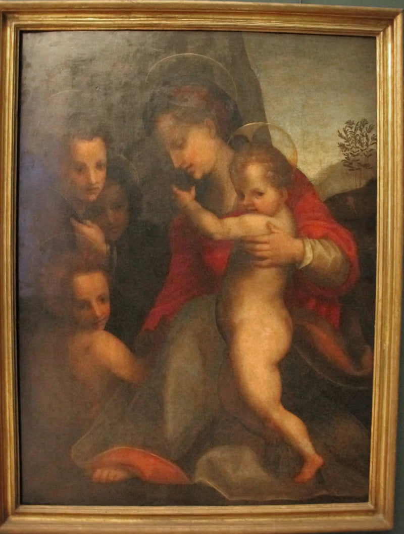 Neitsyt ja lapsi Pyhän Johanneksen ja enkeleiden kanssa - Andrea del Sarto