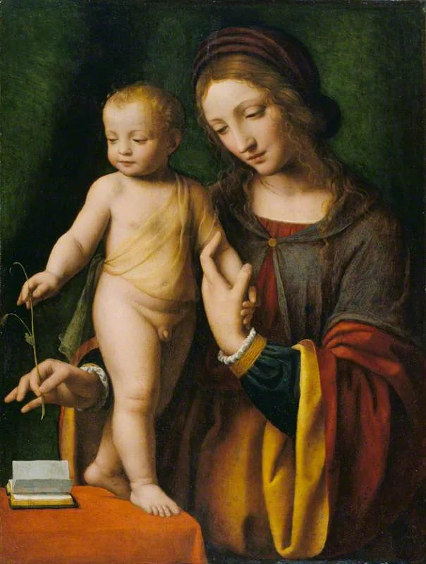 Neitsyt ja lapsi ankkuripensaan kanssa - Bernardino Luini